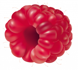 Raspberry Fruit PNG Clipart - Best WEB Clipart