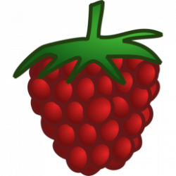 Free Raspberry Cliparts, Download Free Clip Art, Free Clip ...