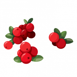 Red Fruit PNG | HD Red Fruit PNG Image Free Download ...