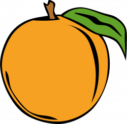 Free Clipart: Simple Fruit Peach | Gerald_G