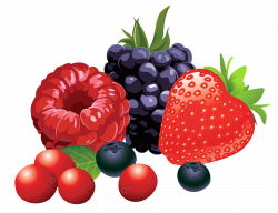 Forest Fruits PNG Vector Clipart Image | Gallery ...