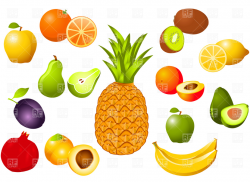 Free Fruit Vector, Download Free Clip Art, Free Clip Art on ...