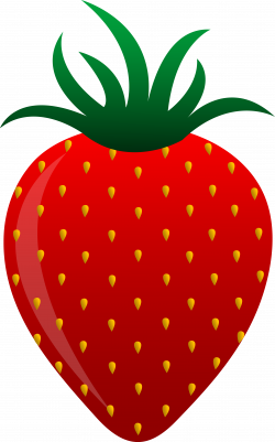 Free Fruit Vector, Download Free Clip Art, Free Clip Art on ...