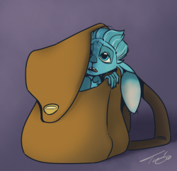 Mune In A Bag by taklayyankovic -- Fur Affinity [dot] net