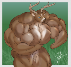 Muscular Buck by sonicgamer -- Fur Affinity [dot] net