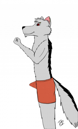 new shorts by polak702 -- Fur Affinity [dot] net