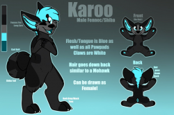 Karoo | Reference Sheet by smolfennec -- Fur Affinity [dot] net