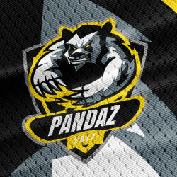 Panda Logo Template 2