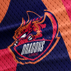 Dragon Logo Template 3