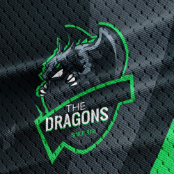Dragon Logo Template 2
