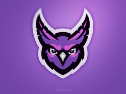 Owl (O&N Gaming) | Esports logo, Owl logo, Logos design