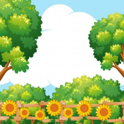 Background scene with sunflowers in garden - Download Free ...