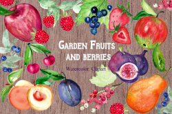 Garden fruits and berries. Watercolor clipart. By ...