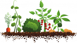 Food Garden Cliparts - Cliparts Zone