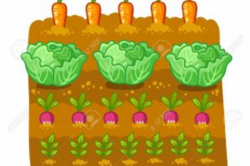 Download for free 10 PNG Garden clip art vegetable patch top ...