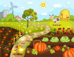 Harvest clipart veggie patch, Harvest veggie patch ...