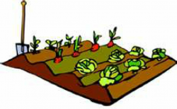 Starting Your Spring Vegetable Garden | St. Pete, FL Patch