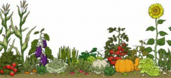 Garden clip art border free free clipart images | Garden ...
