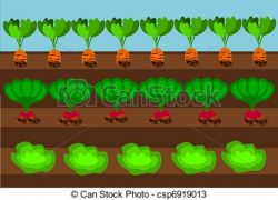 Vegetable Field Clipart