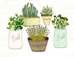 Botanical clipart, watercolor botanicals clipart, gardening ...