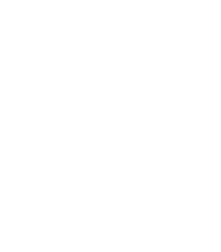 Global Georgetown University