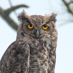 TRINITYPREZ on Twitter: \