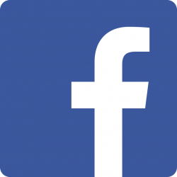 facebook-logo-vector | Executive Master\'s in Clinical ...