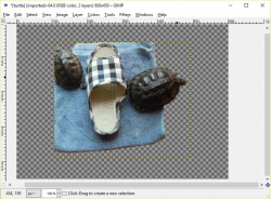 Adding a Transparent Background Using GIMP: 5 Steps (with ...