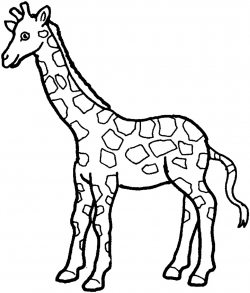 Free Outline Giraffe Cliparts, Download Free Clip Art, Free Clip Art ...