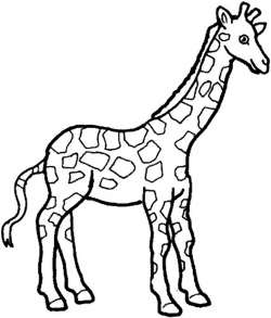 Giraffe clipart black and white free images 2 - WikiClipArt