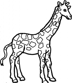 Giraffe Coloring Pages | Free download best Giraffe Coloring Pages ...