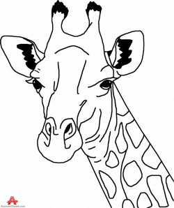 Giraffe clipart head and neck - Pencil and in color giraffe clipart ...