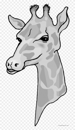 Giraffe Head Clipart - Clip Art - Png Download (#2025969) - PinClipart