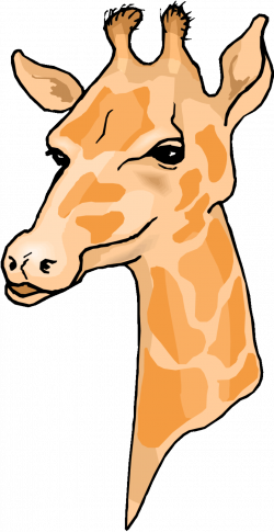 giraffe head clipart | giraffe | Giraffe head, Drawings, Pottery ...