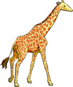 Giraffe clipart real animal pencil and in color giraffe - ClipartPost