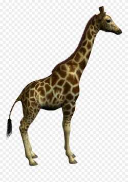 Giraffe Clipart Real - Big And Small Animals - Png Download (#431102 ...