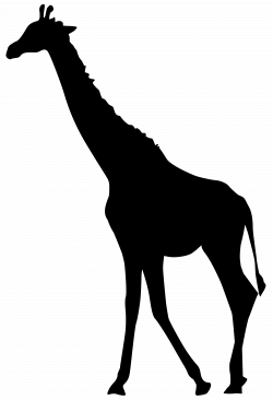 Giraffe Silhouette PNG Transparent Clip Art Image | Gallery ...