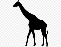 Silhouette, Illustration, Giraffe, transparent png image & clipart ...