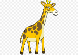 Northern Giraffe Giraffidae png download - 445*636 - Free ...