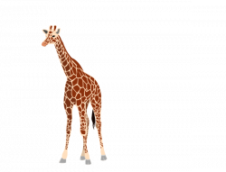 Giraffe Clip Art at Clker.com - vector clip art online, royalty free ...