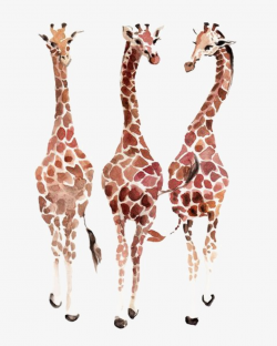 Giraffe, Giraffe Clipart, Watercolor Giraffe, Hand Painted Giraffe ...