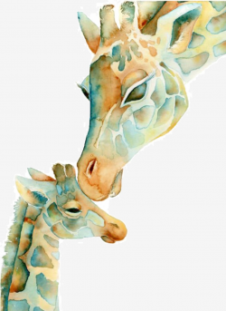 Giraffe, Giraffe Clipart, Watercolor Giraffe, Paternity PNG ...