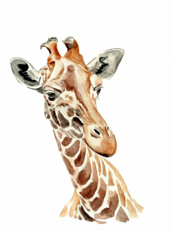 Giraffe - animal watercolor painting - art print - Clip Art Library