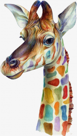 Watercolor Giraffe, Giraffe Clipart, Watercolor Clipart, Cartoon PNG ...