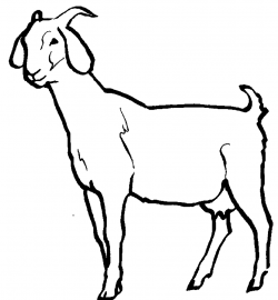 Goat black and white clipart clipart kid 2 - Cliparting.com