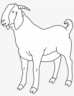 Cute Art Images Black And White Wallpaper - He Goat Clipart Black ...