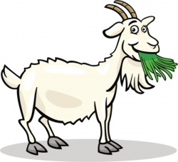 Goat Eating Clipart