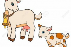 Kid goat clipart 2 » Clipart Portal