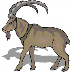 Mountain Goat clipart, cliparts of Mountain Goat free download (wmf ...