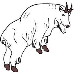 Mountain Goat clipart, cliparts of Mountain Goat free download (wmf ...